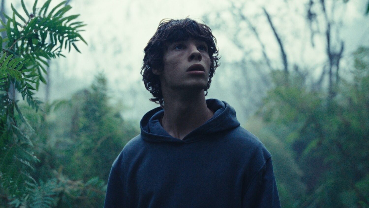 Animal Kingdom Hagabion